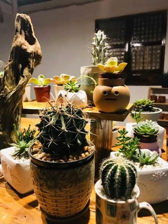 Samkara Restaurant And Garden Resort Lucban Eksteriør billede